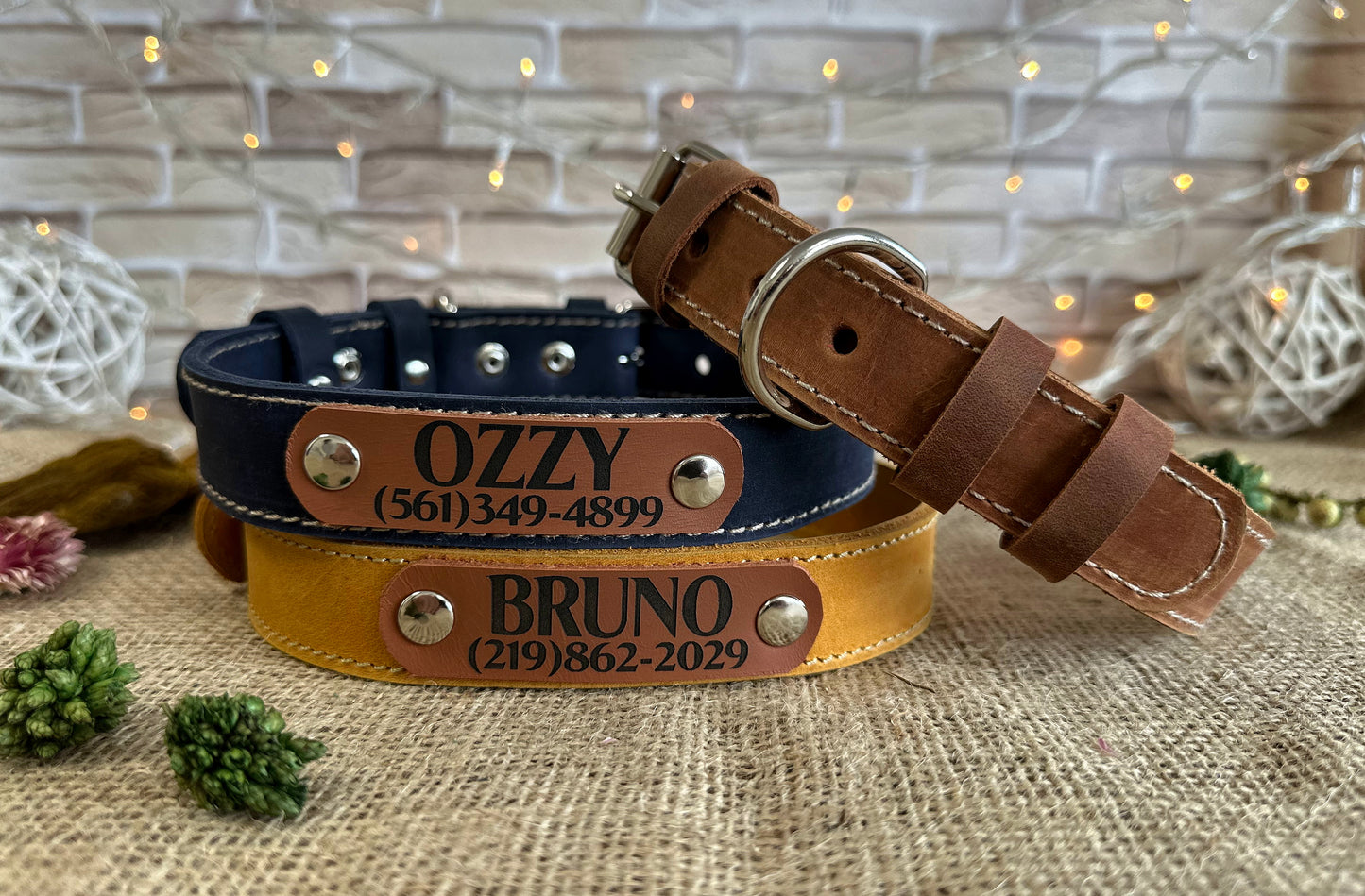 Tough leather collar in sleek form