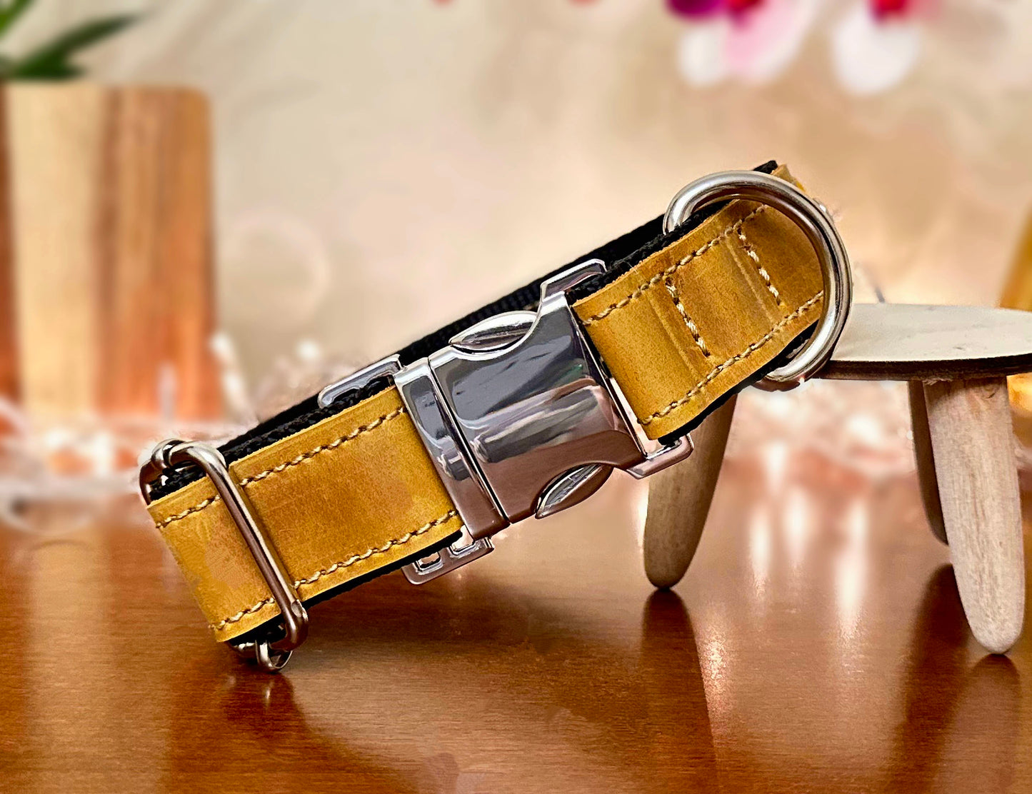 orange quick-release collar