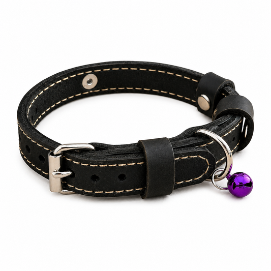 Black leather dog collar with a purple bell on a white background