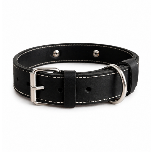 Black leather dog collar with silver hardware on a white background