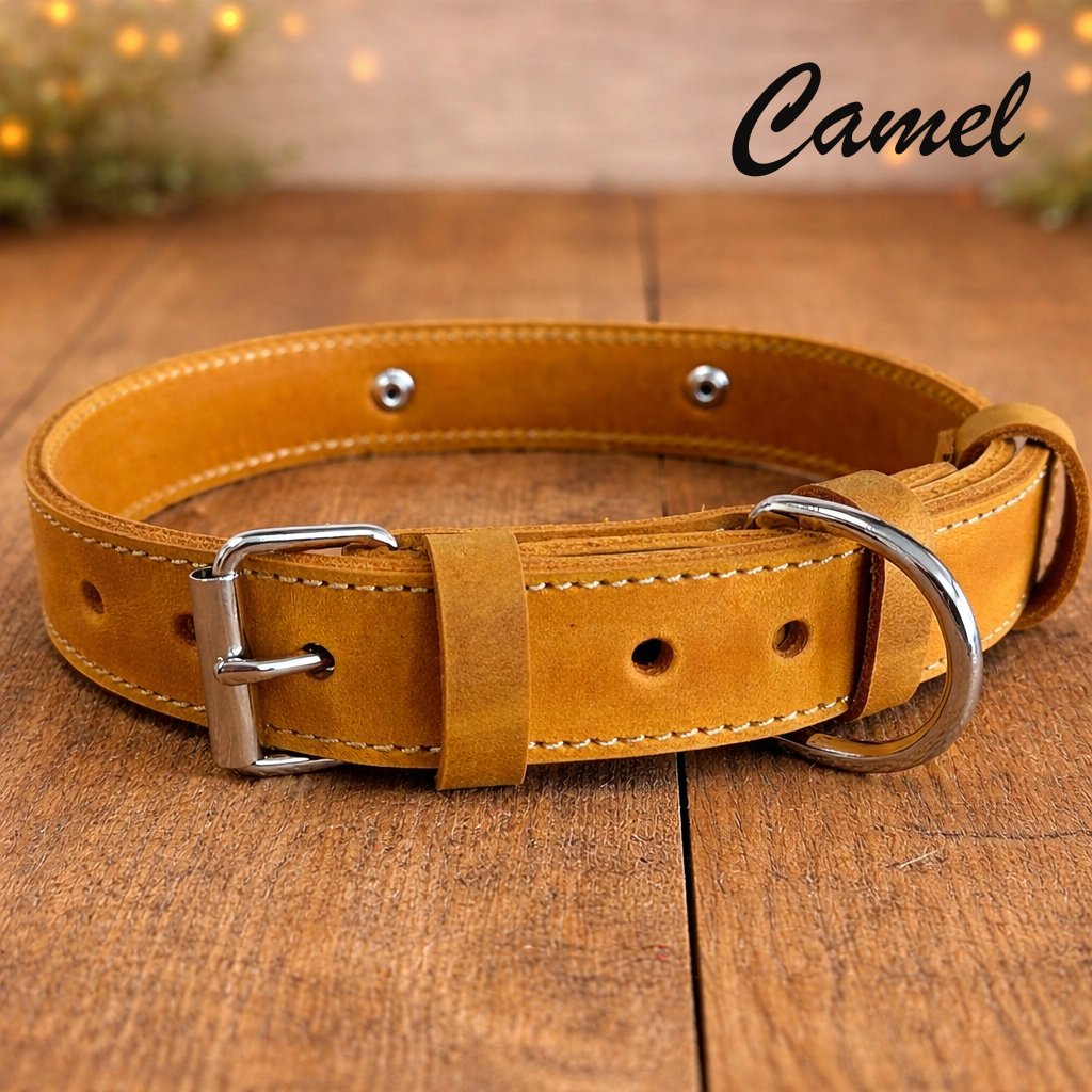 Camel-colored leather dog collar with metal buckle on a wooden surface, brand 'Camel' visible.