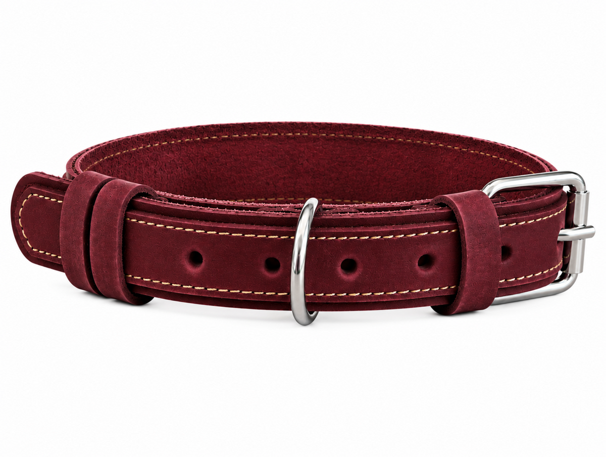 A burgundy leather dog collar with light tan contrast stitching, a silver metal D-ring, and a silver buckle, shown on a plain white background.