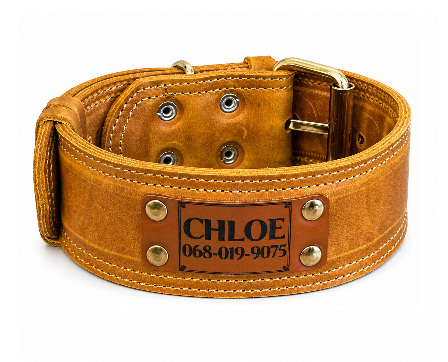 Brown leather dog collar with gold hardware and a nameplate on a white background