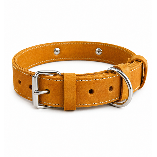 Brown leather dog collar with metal hardware on a white background