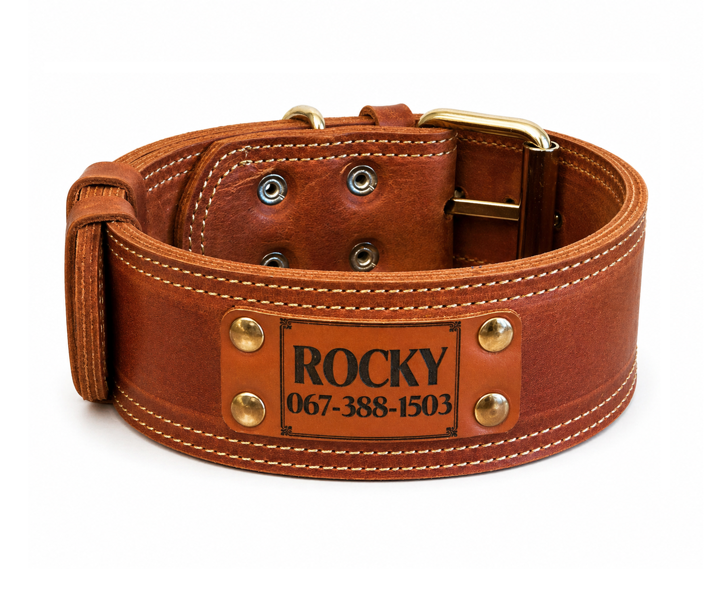 Brown leather dog collar with a nameplate and gold hardware on a white background