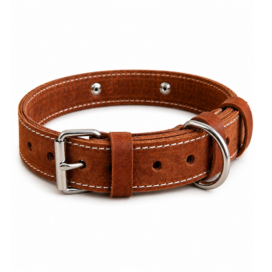 Brown leather dog collar with metal buckle and ring on a white background