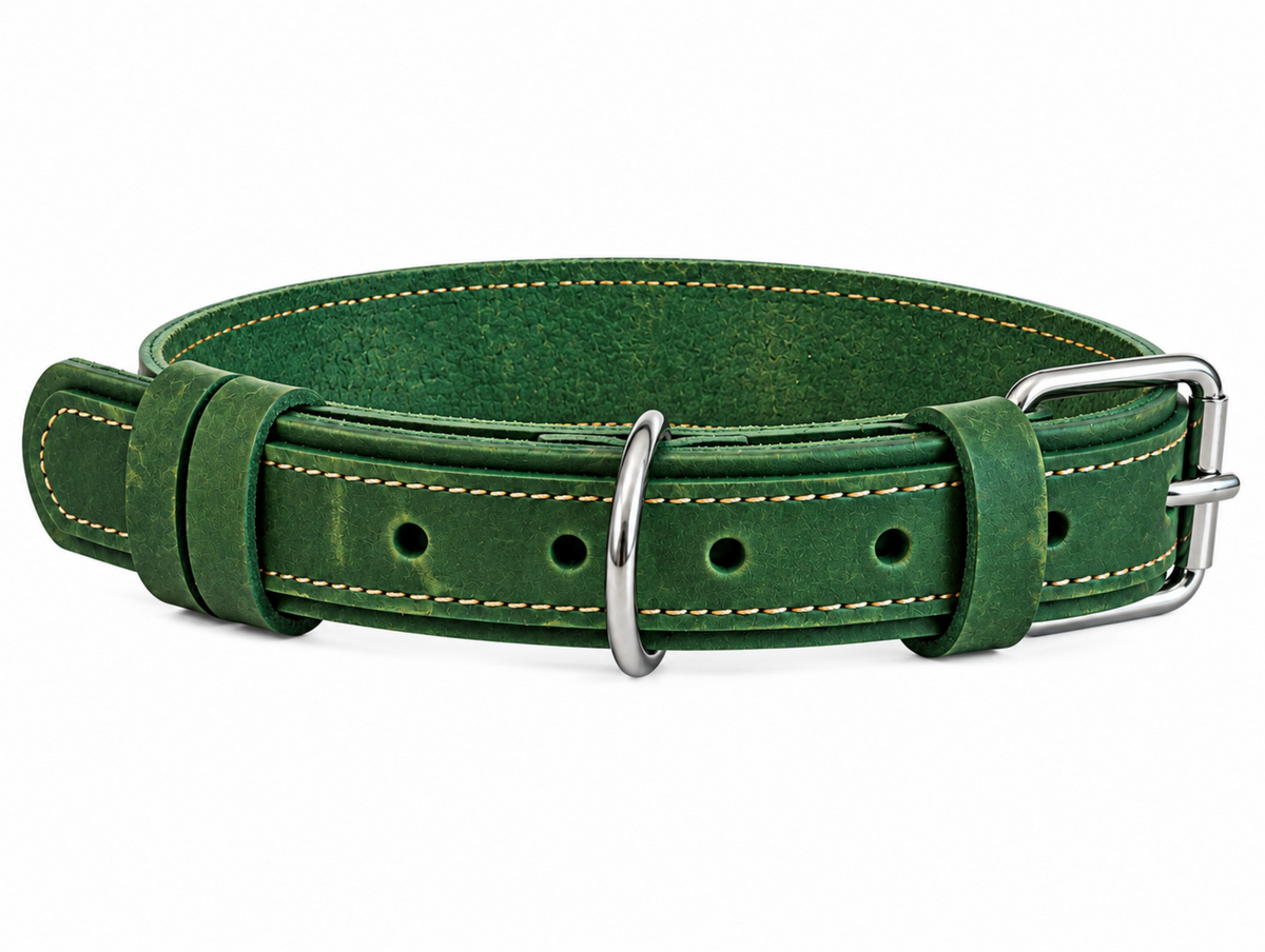 A green leather dog collar with yellow contrast stitching and silver-tone metal hardware, including a buckle, D-ring, and adjustment holes, shown on a plain white background.