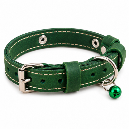 Green leather dog collar with silver buckle and green bell on a white background