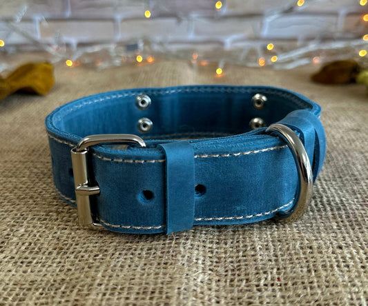 Minimal leather collar ideal for small to medium dogs