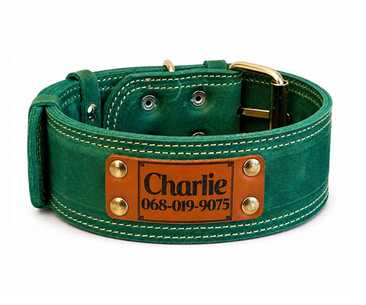 Green Leather 2 inch Dog Collar with Name