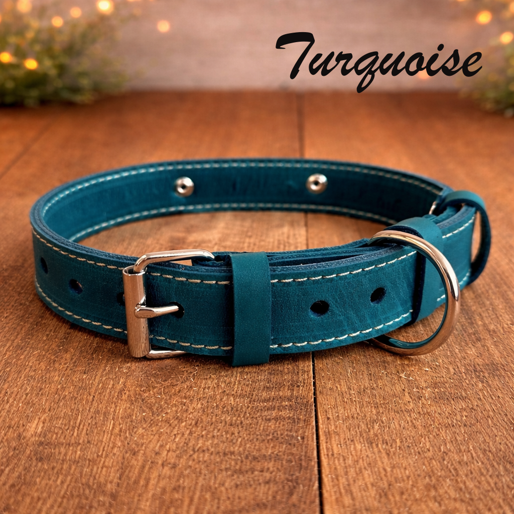 Turquoise dog collar with silver hardware on a wooden surface, labeled 'Turquoise'.