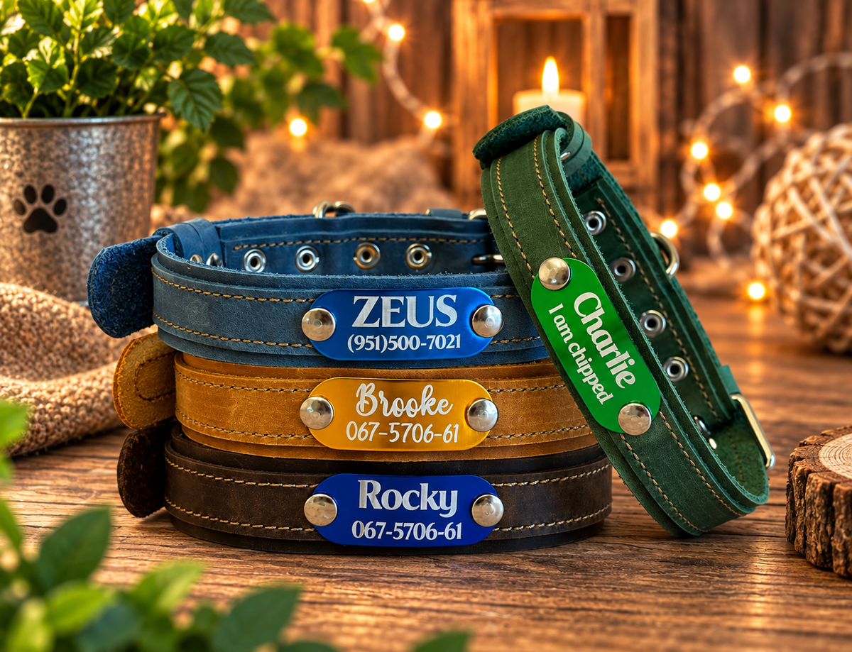 Four personalized pet collars stacked on a rustic wooden table with warm string lights and plants in the background. The collars are blue, tan, dark brown, and green, each with a silver-tone metal nameplate engraved with a pet name and phone number.