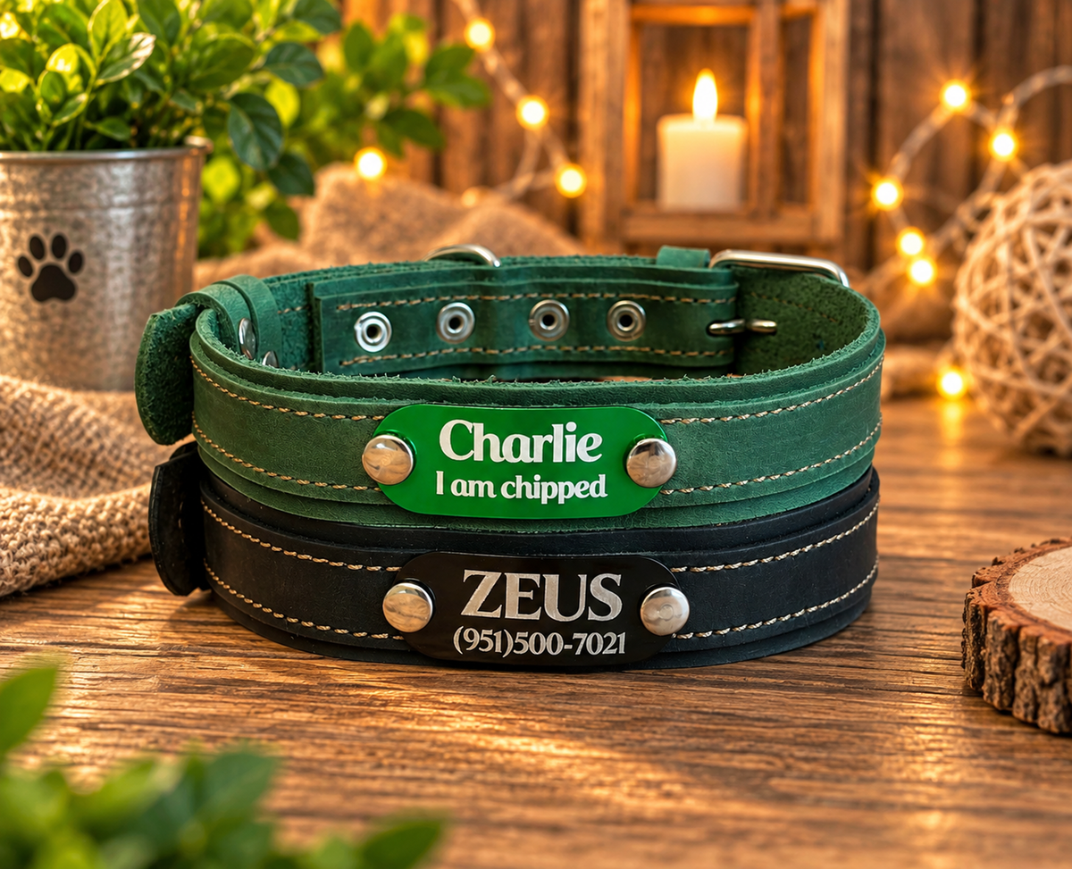 Two personalized dog collars stacked on a wooden table: a green collar reading 'Charlie I am chipped' and a black collar reading 'ZEUS (951)500-7021'. The scene is styled with warm string lights, burlap, a candle, and a plant in the background.