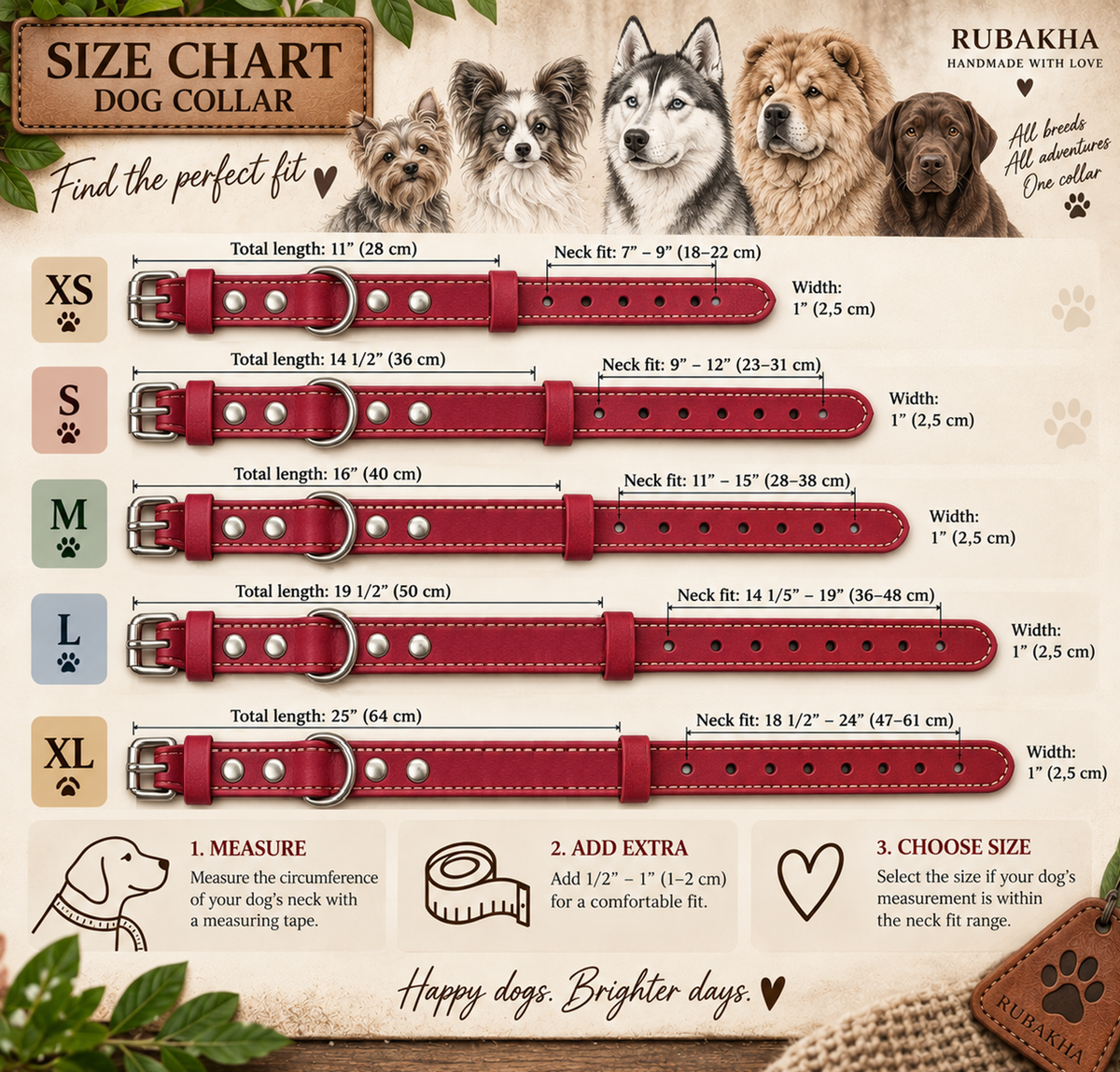 Rubakah size chart for a dog collar, showing neck circumference measurements from XS to XL with labeled lengths, widths, and fit ranges, plus illustrated dog portraits and fit instructions on a cream background.