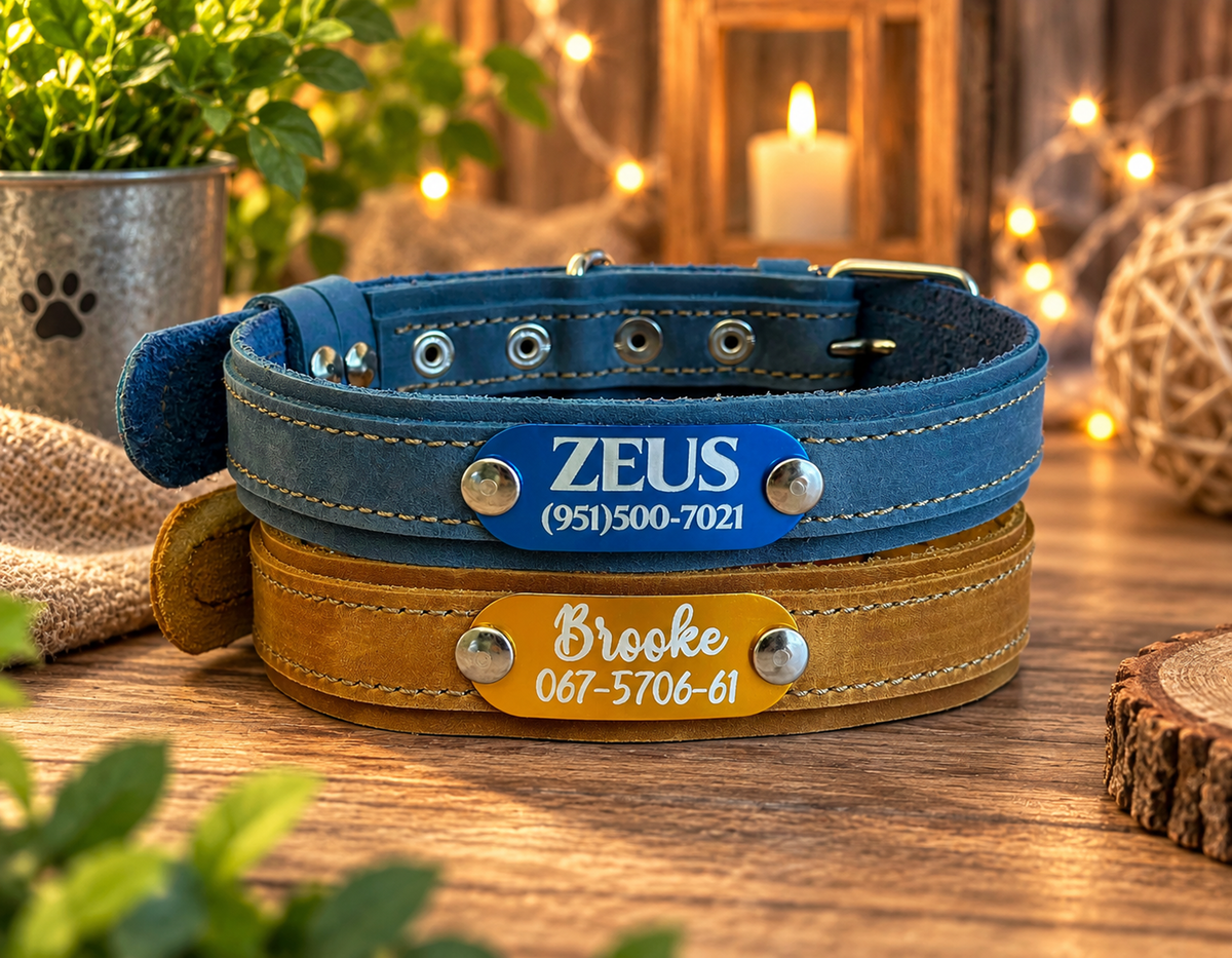 Two personalized pet collars stacked on a wooden table: a blue leather collar with a blue nameplate reading 'ZEUS (951)500-7021' and a tan leather collar with a yellow nameplate reading 'Brooke 067-5706-61'. The background features warm bokeh lights, a lit candle, and green plants.