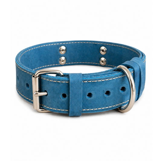 Blue leather dog collar with silver hardware on a white background