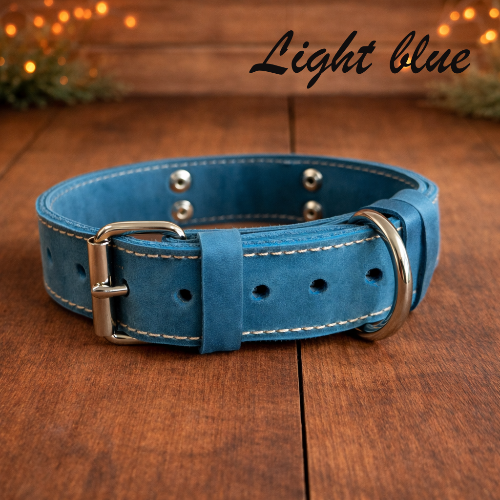 Light blue leather dog collar with silver buckle on a wooden surface.
