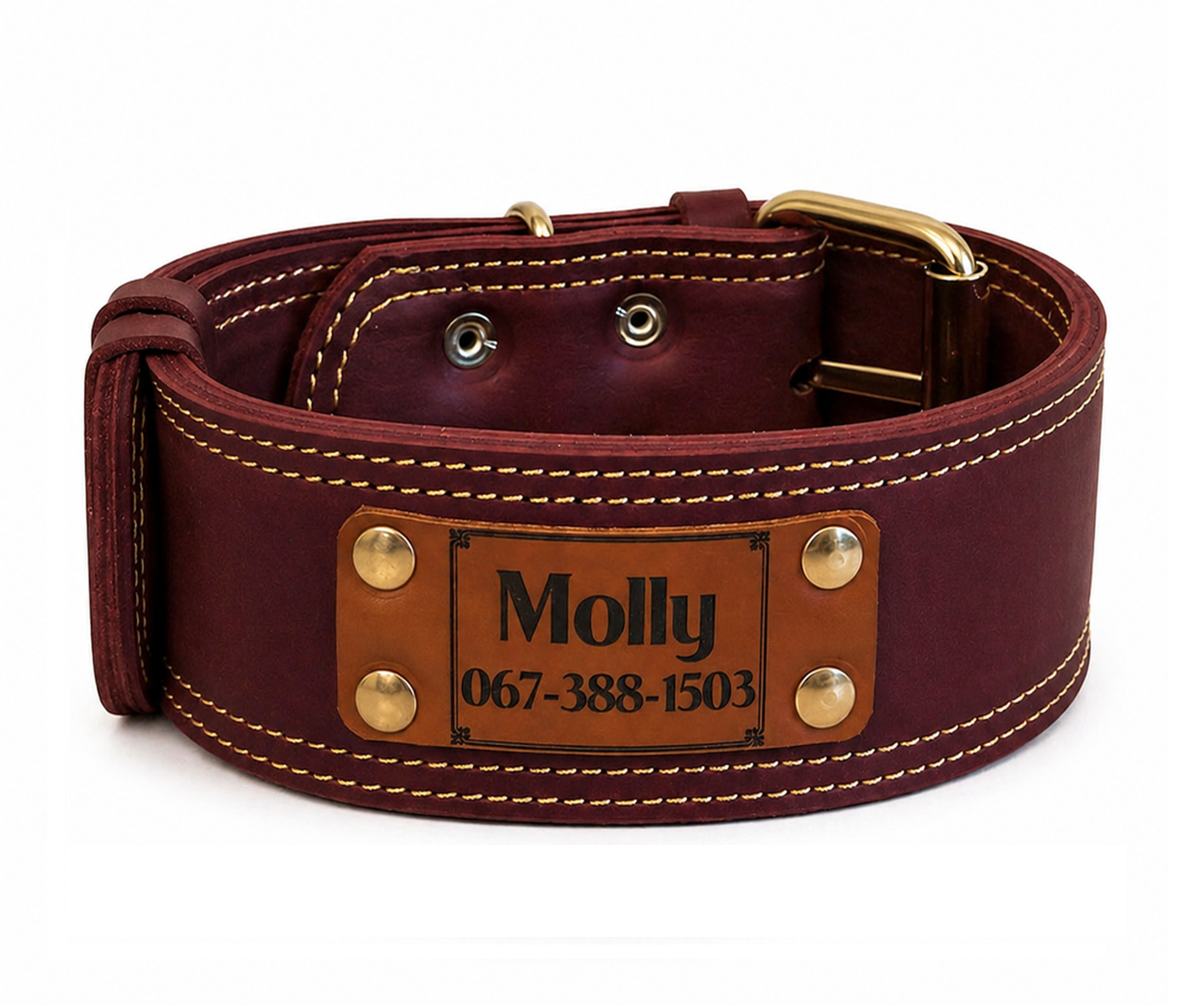 Brown leather dog collar with gold hardware and a nameplate on a white background