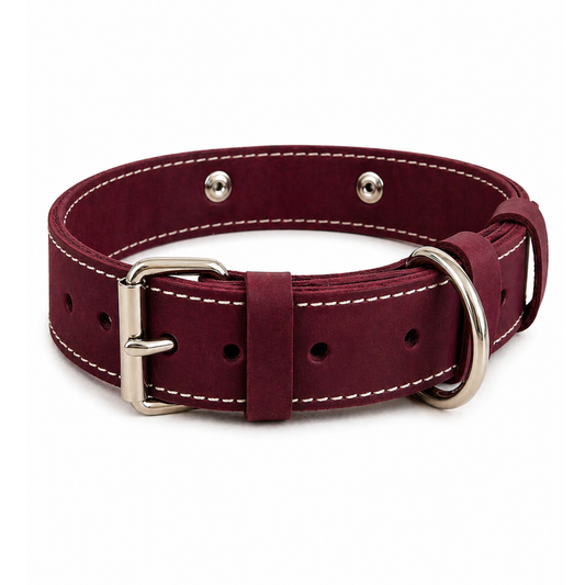 Maroon leather dog collar with silver buckle on a white background