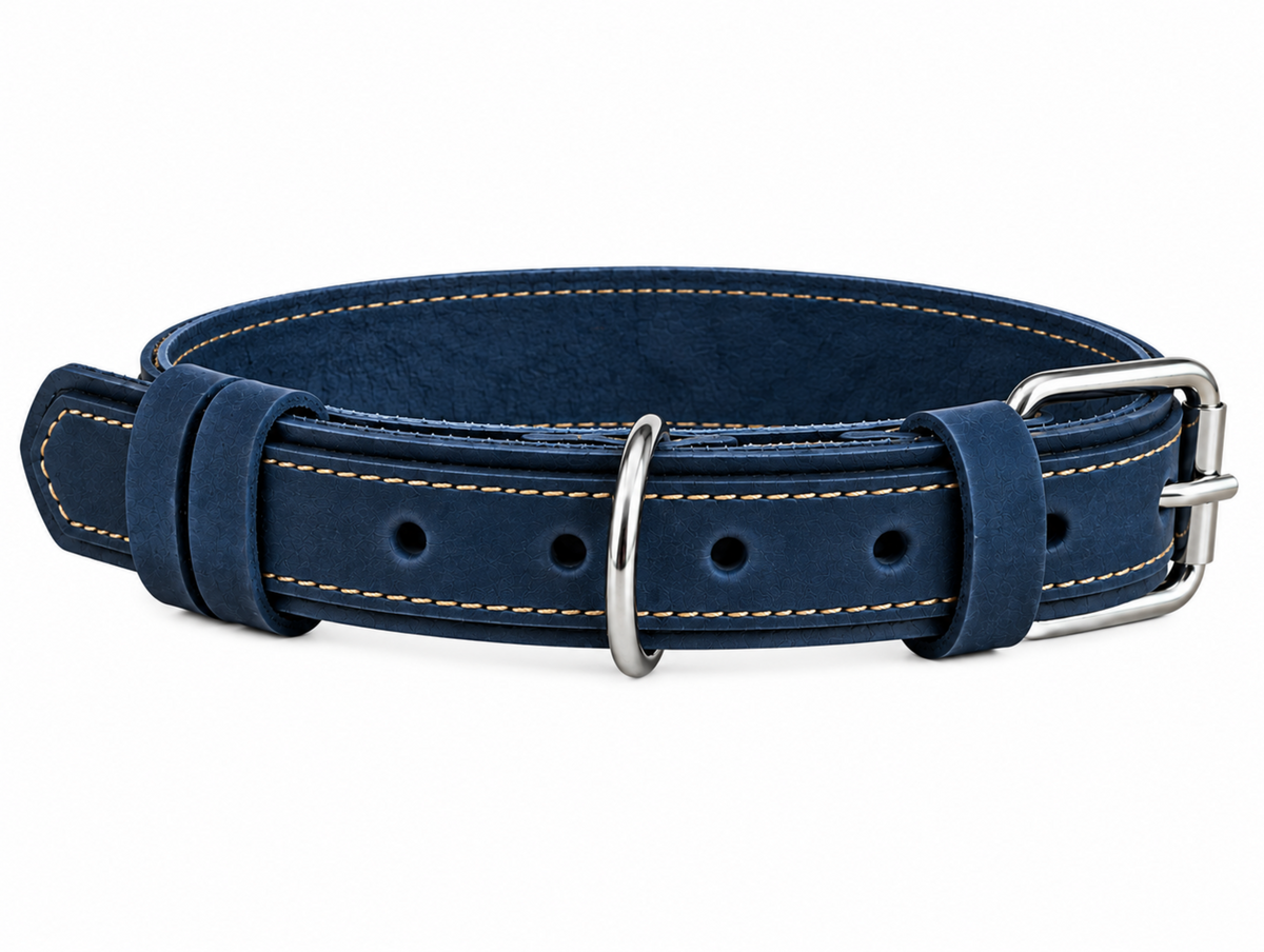 A navy blue leather collar with light tan contrast stitching and polished silver-tone metal hardware, including a buckle, D-ring, and keeper, shown on a plain white background.