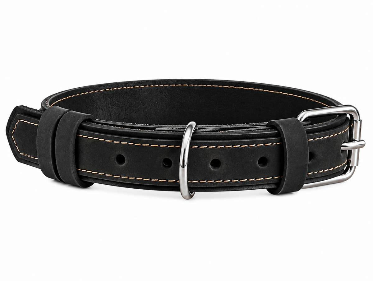 A black leather collar with light tan contrast stitching, a silver metal buckle, and a silver D-ring, displayed on a clean white background.