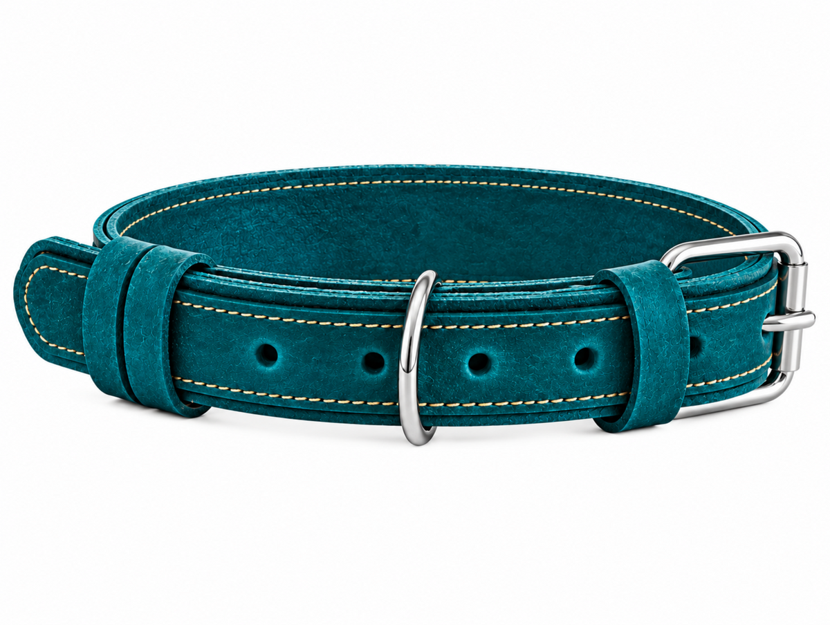 A teal blue suede dog collar with light tan contrast stitching and a silver-tone metal buckle, shown on a plain white background.