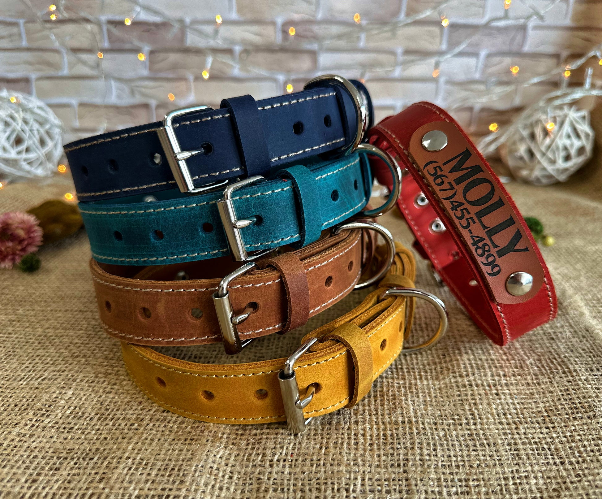Minimal dog collar with maximum durability