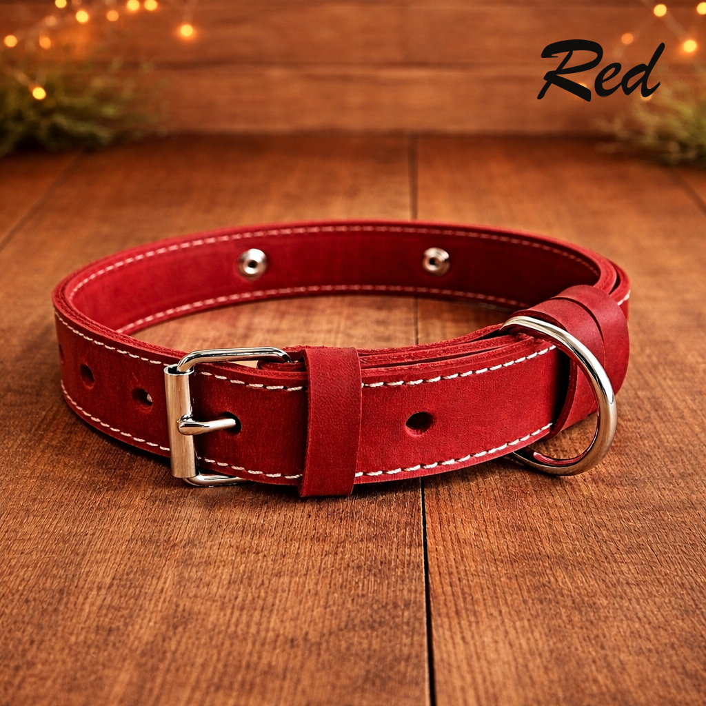 Red leather dog collar with silver buckle on a wooden surface, brand 'Red' visible.