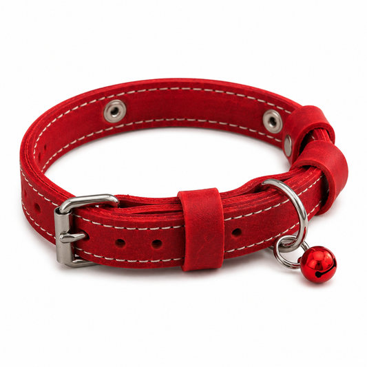 Red dog collar with a bell on a white background