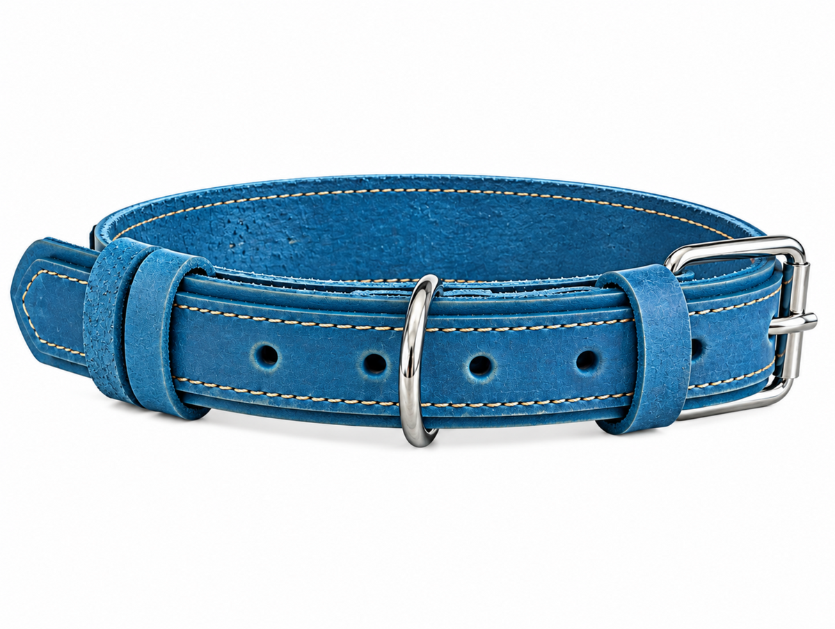 A blue leather dog collar with light-colored stitching and silver-tone metal hardware, including a buckle, D-ring, and adjustment holes, shown on a plain white background.