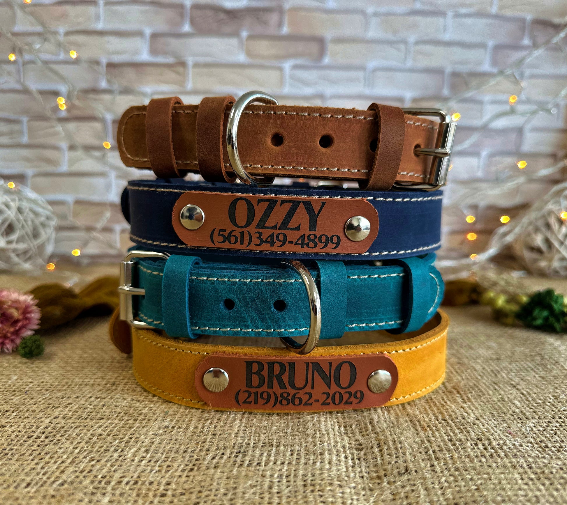Compact leather strap collar with steel buckle