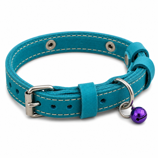 Teal leather dog collar with a purple bell on a white background