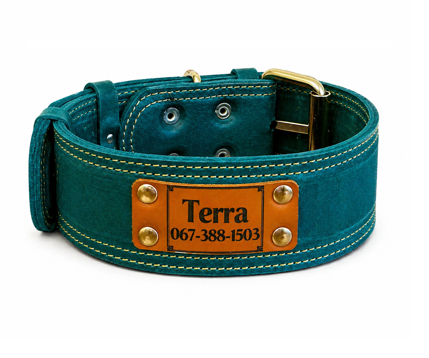 Teal dog collar with a leather name tag on a white background