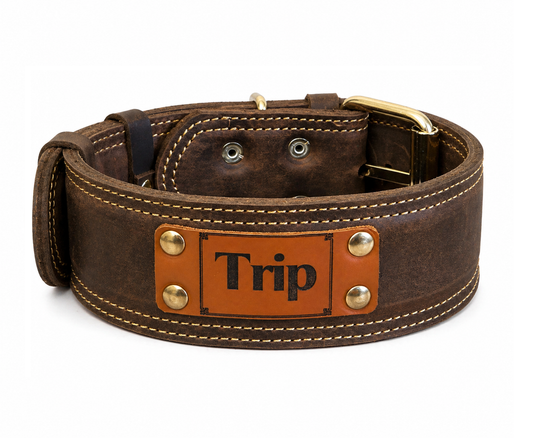 Whiskey Leather 2 inch Dog Collar with Name