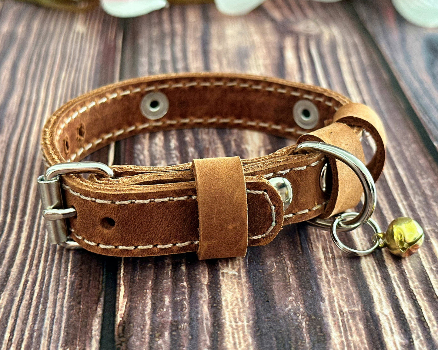 Engraved leather pet collar with a secure metal nameplate, perfect for cats and kittens.