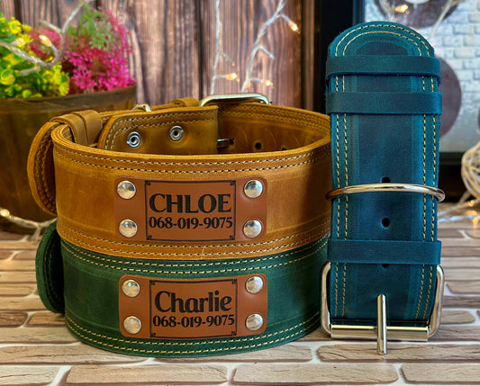 Custom engraved leather dog collar, perfect for adding a personalized touch and comfort to your dog's everyday wear.