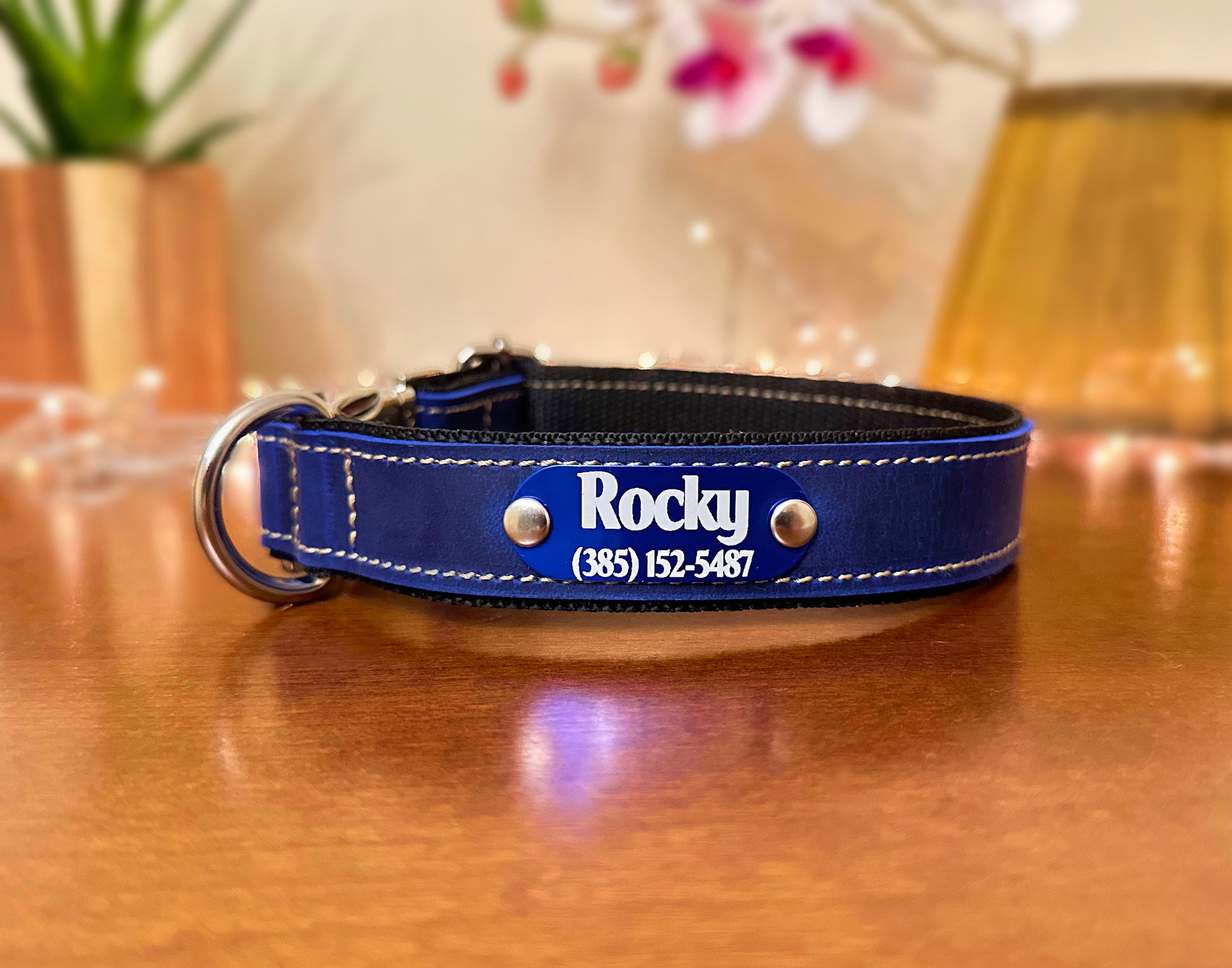 dog collar
