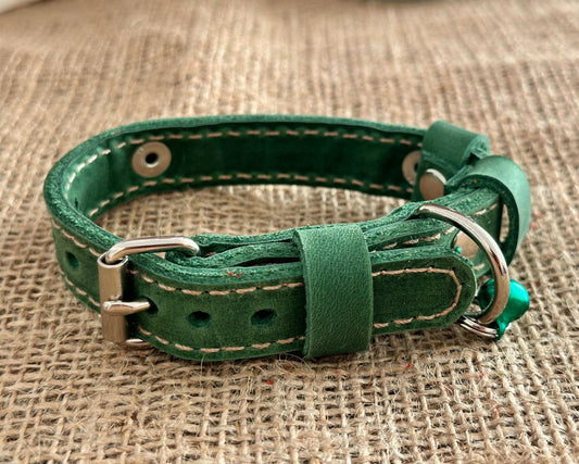 Stylish kitten collar with engraved name, soft and durable for everyday use.