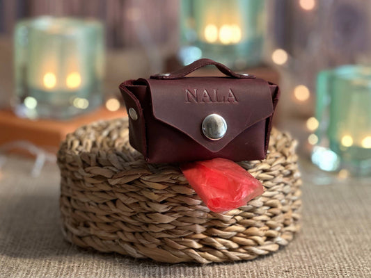 Leather poop bag holder with sturdy carabiner attached to dog leash for easy access