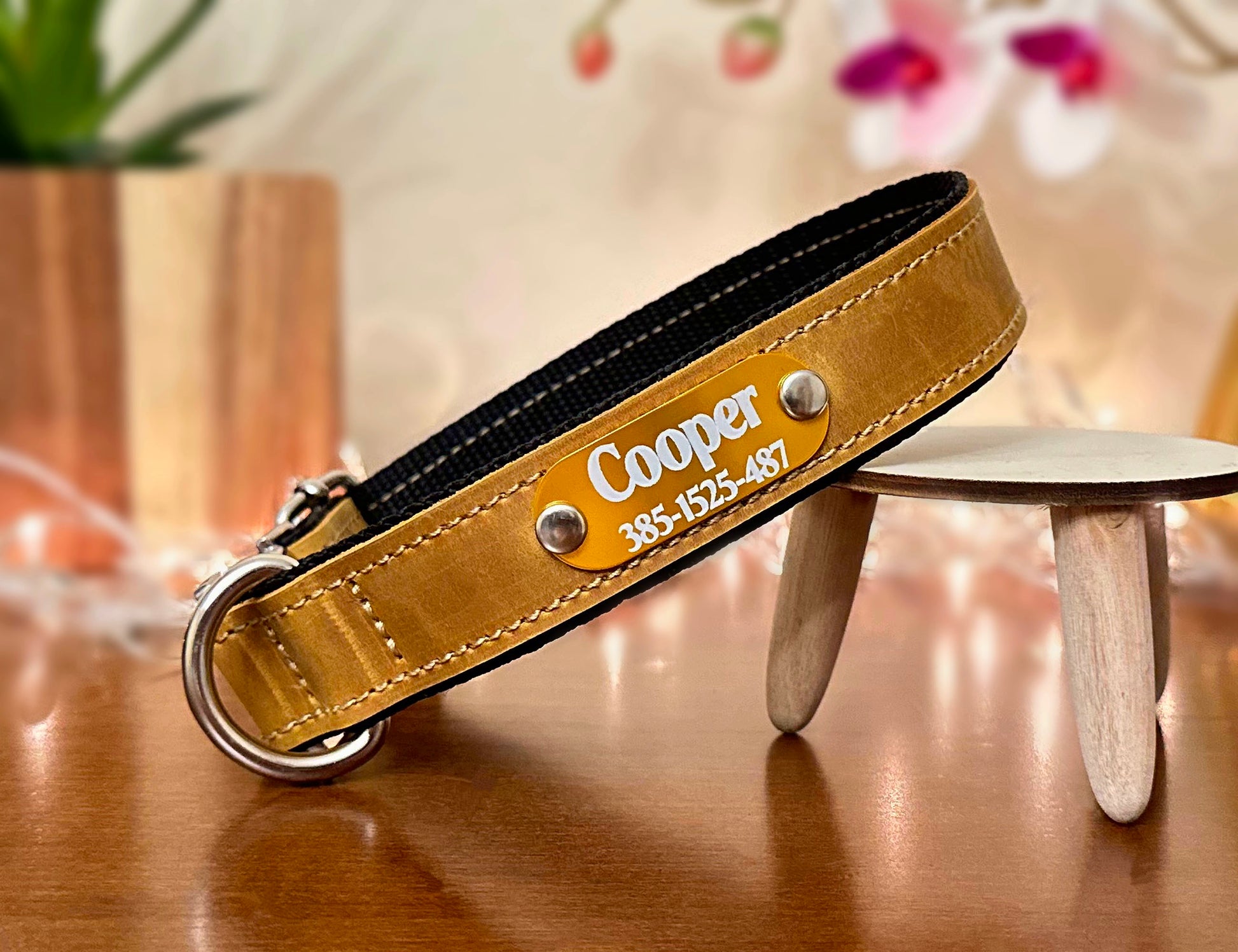 Quick-release collar orange