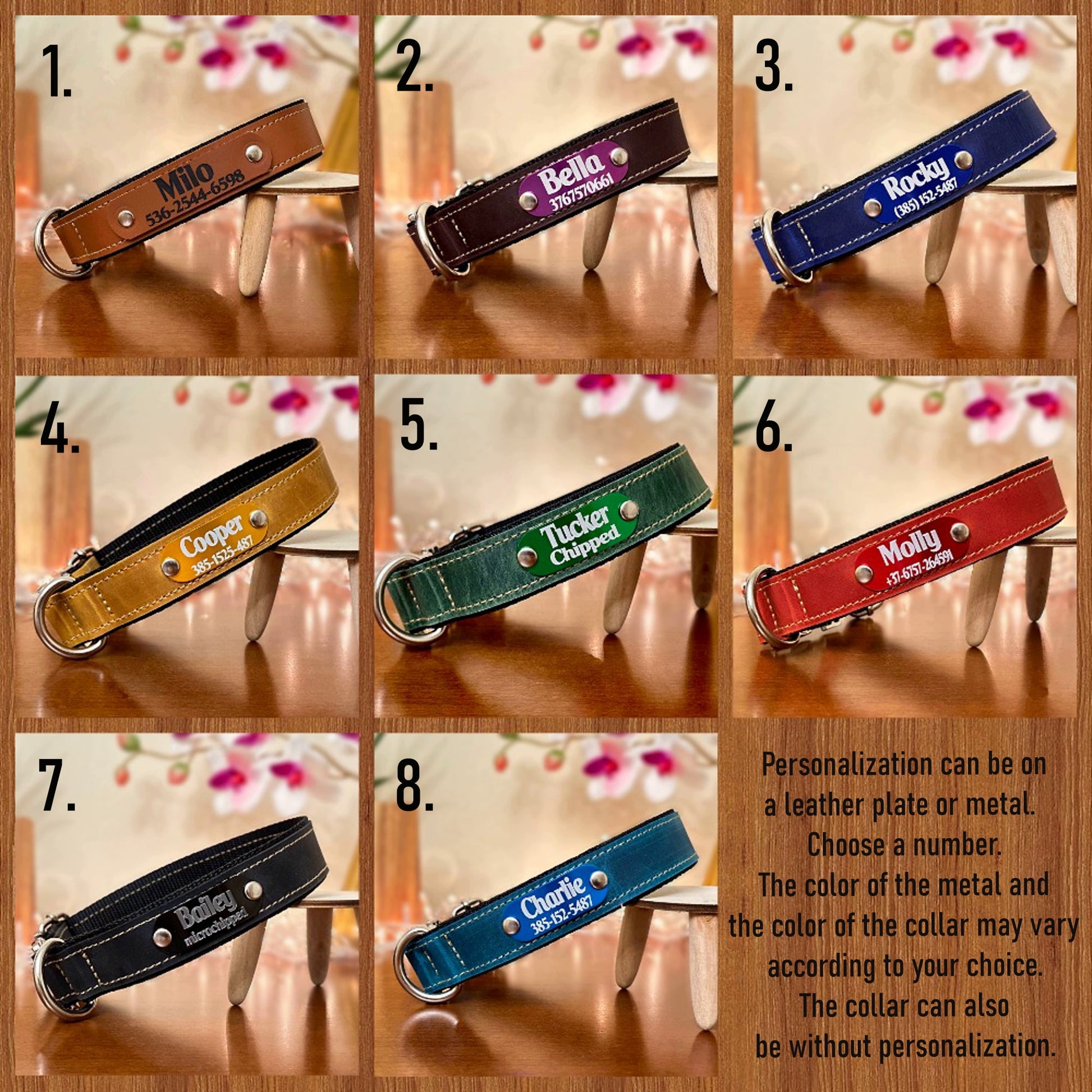 quick snap leather nylon collar golden thick