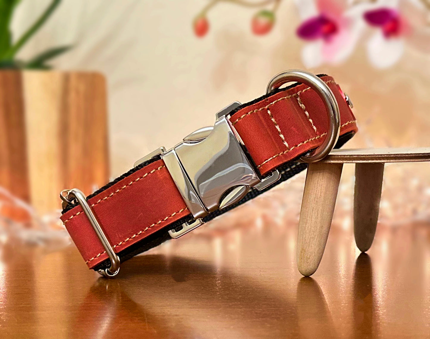 red quick-release collar