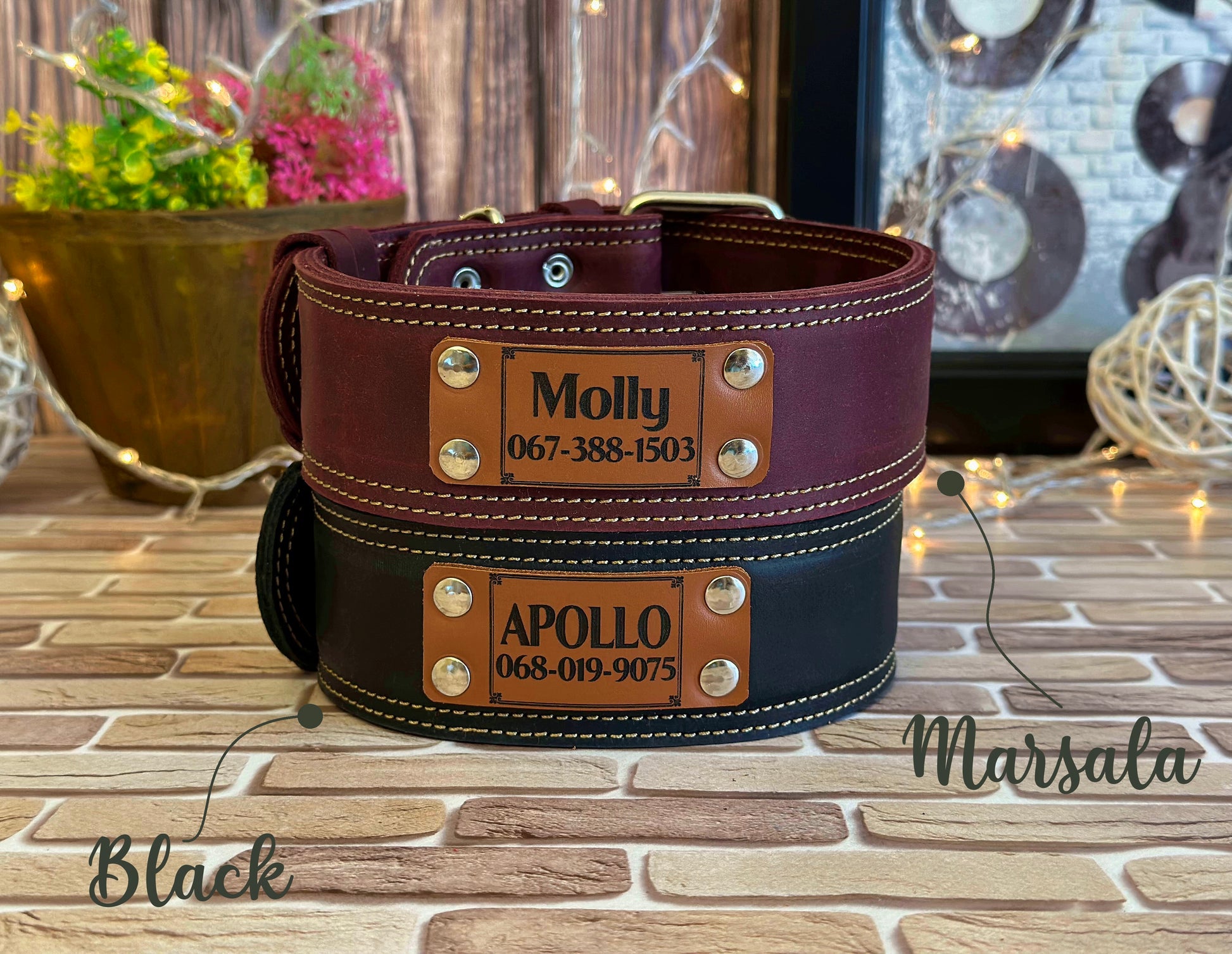 Stylish personalized leather dog collar, customized with your pet’s name and phone number for safety and flair.